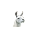 :llama: