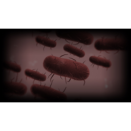 Bacteria Background