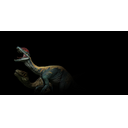 Dilophosaurus and Novaraptor