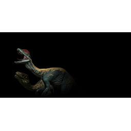 Dilophosaurus and Novaraptor