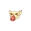 :Pig: