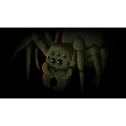 Spider (Profile Background)