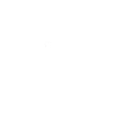 :47_duck: