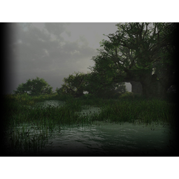 Swamp At Dusk