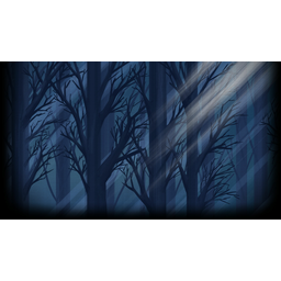 Nocturne forest