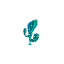 :Cactus: