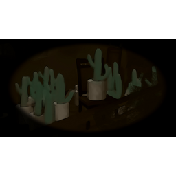 Cacti (Profile Background)