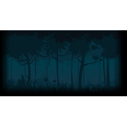 Forest Night