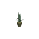 :1cactus1: