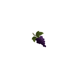 :yummygrapes: