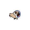 :SpacePug: