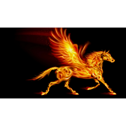 Element of Fire Pegasus