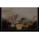 Beautiful Sunset (Profile Background)