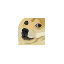 :Dogeface: