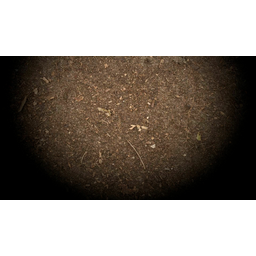 Dirt (Profile Background)
