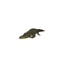 :crocodile: