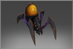 Amber Queen's Spiderling