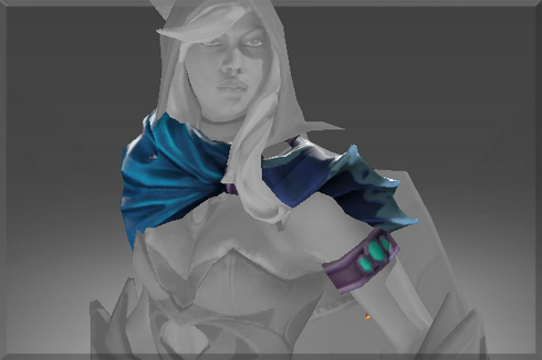 Mantle of the Wyvern Skin Prices