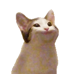 Cat Cam talking (Sticker)