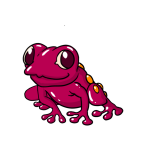 Fuchsia Frog