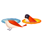 Portal Bird