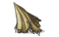 Cloth