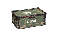 Gun Box