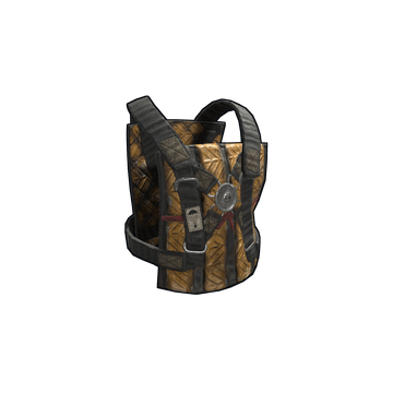 Flyer Vest