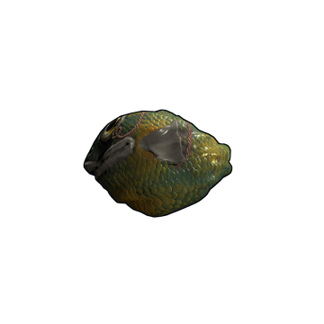 Fish Rock