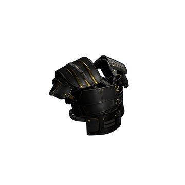 Black Gold Vest