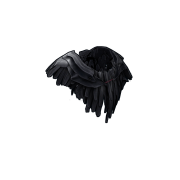 Raven Poncho