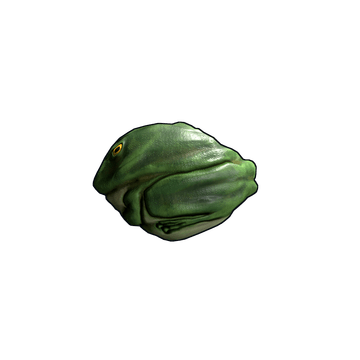 Frog Rock
