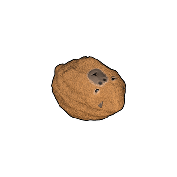 Capybara Rock
