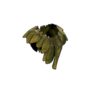 Banana Leaf Poncho