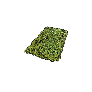 Grass Rug