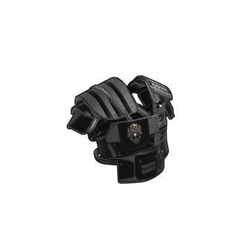 Black Diamond Roadsign Vest