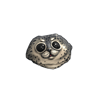 Harbor Seal Rock
