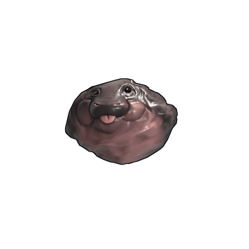 Baby Hippo Rock