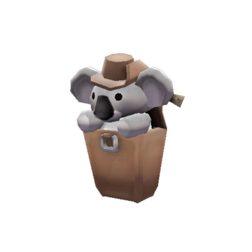 Strange Koala Compact