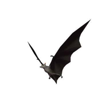 Guano