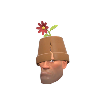 Strange Crack Pot