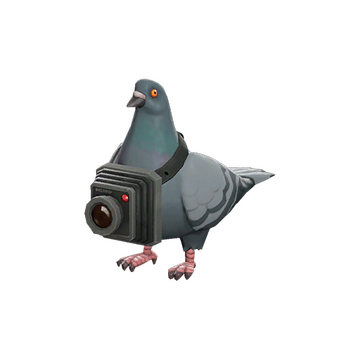 Strange Bird's Eye Viewer