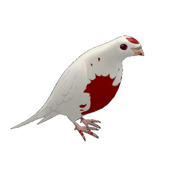 Archimedes