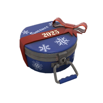 Winter 2025 Cosmetic Case