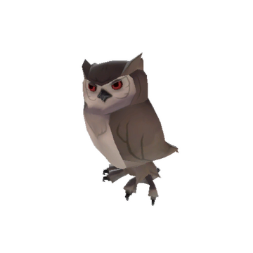 Haunted Sir Hootsalot