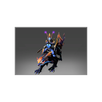 Reef Kyte Rider