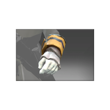 Inscribed Gloves of the Admirable Admiral