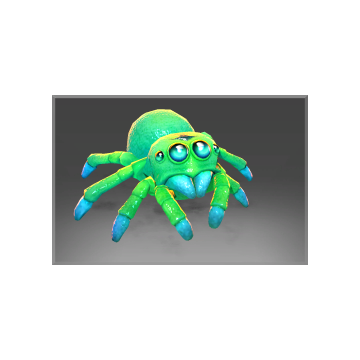 Autographed Lycosidae's Spiderling