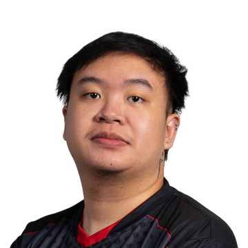 skem Player Sticker - TI 2022