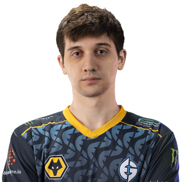 Holo 天鸽 Player Sticker - TI 2022